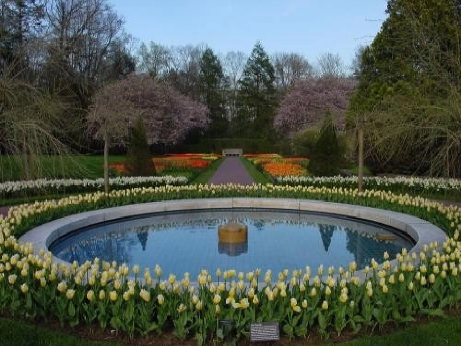 圆的认识-(4)_第2页