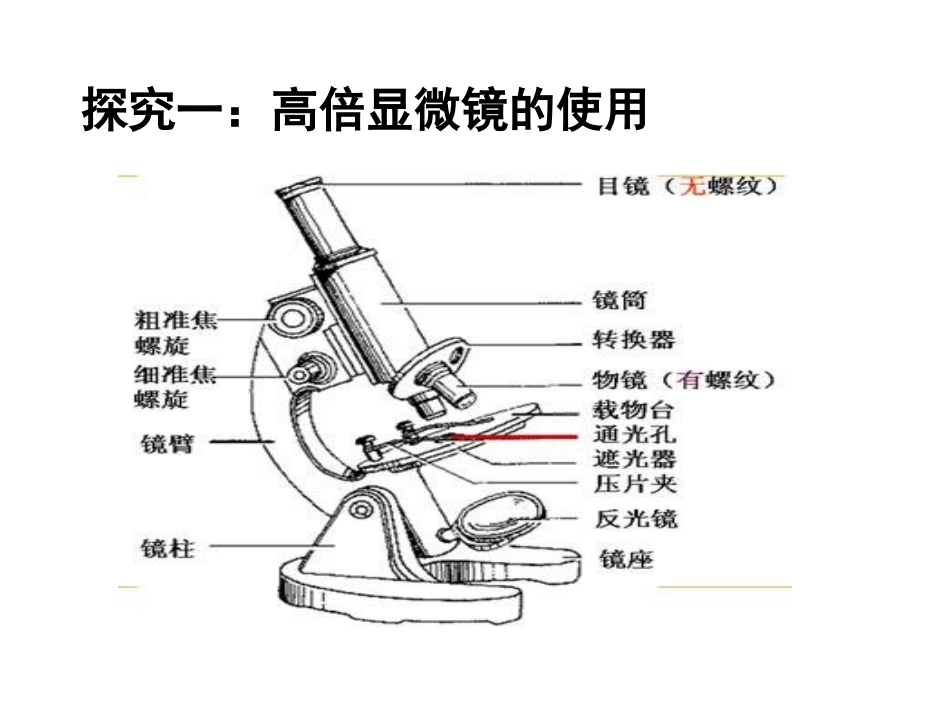 科学前沿组装细胞_第3页