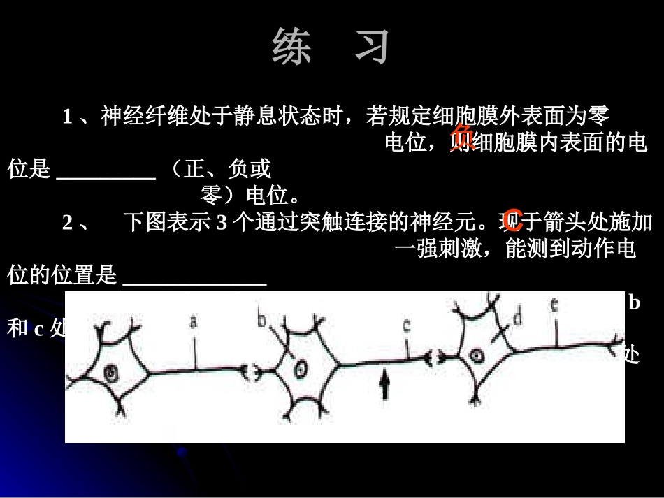 神经系统的调节1_第2页