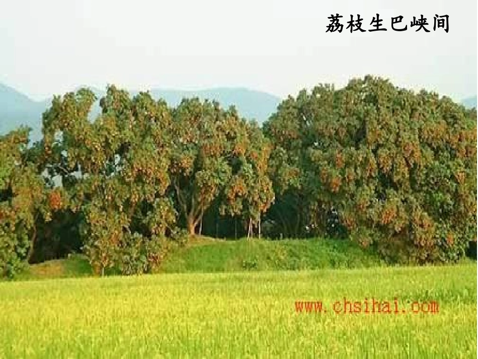 朗读背景课件_第2页