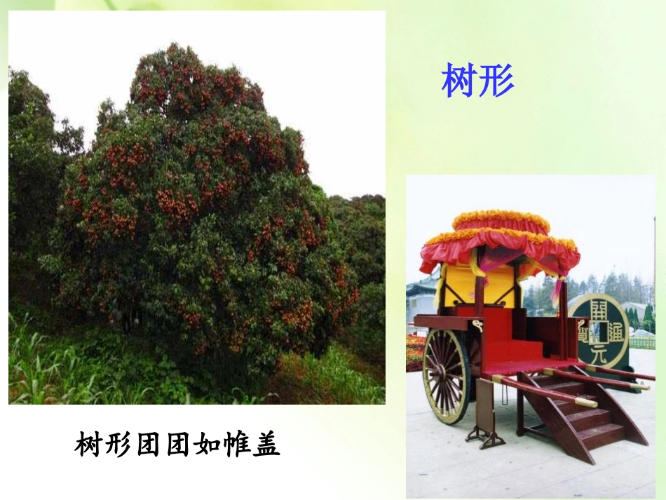 朗读背景课件_第3页