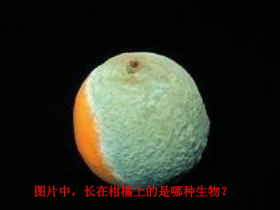 科学·技术·社会-“超级细菌”近在咫尺_第1页