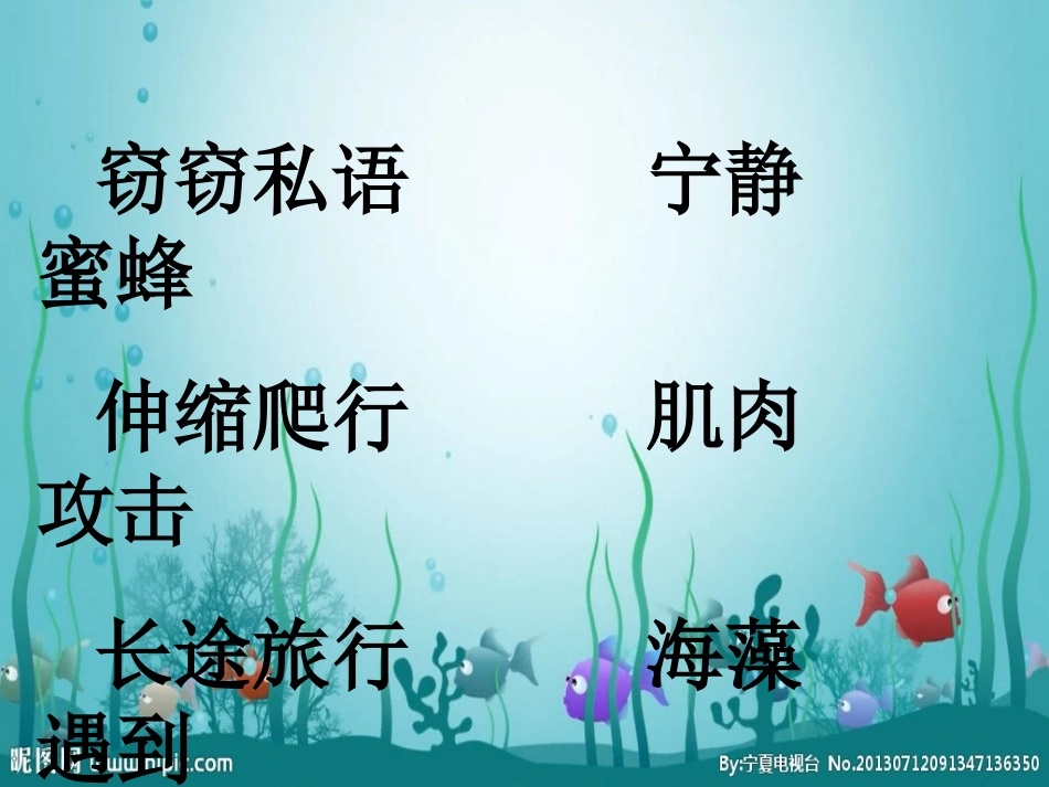 海底世界-(6)_第2页