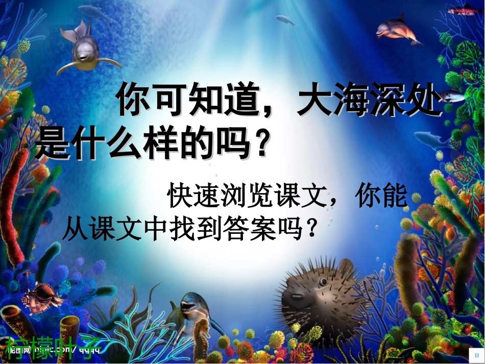 海底世界-(6)_第3页