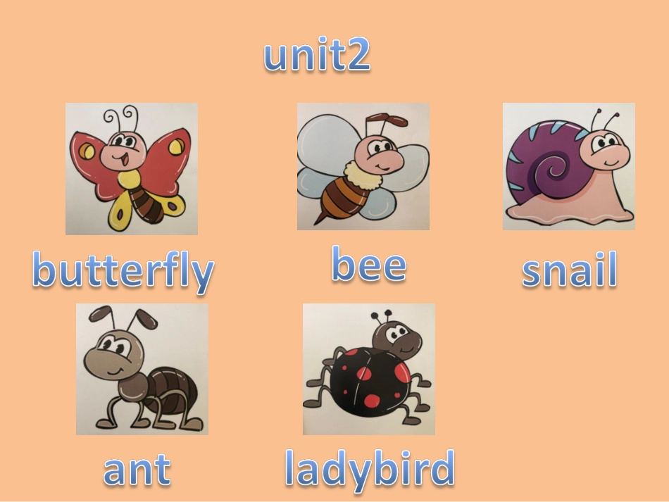 cici英语2复习课件_第2页