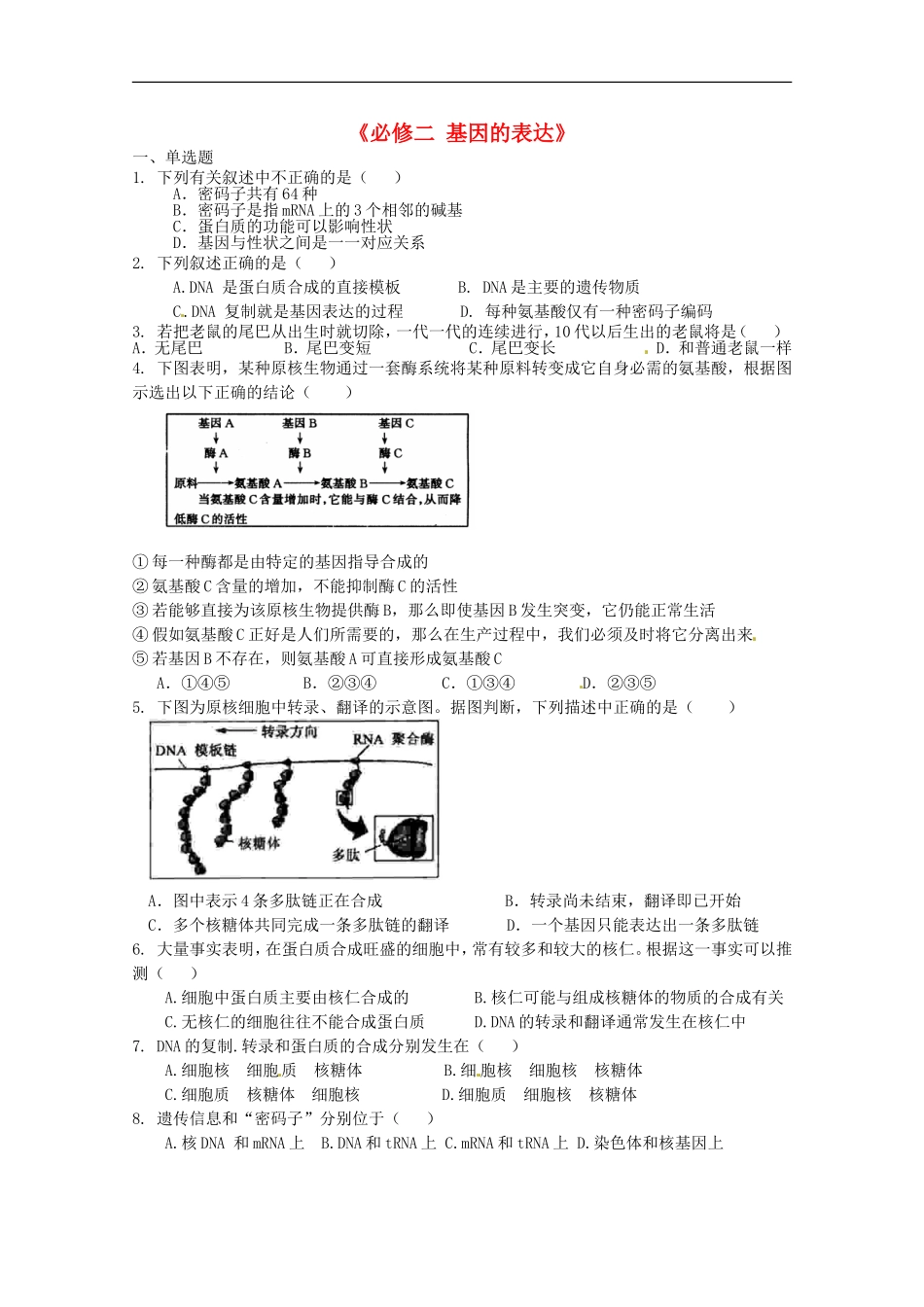 广宁一中2012届高三生物二轮复习-《基因的表达》单元测试_第1页