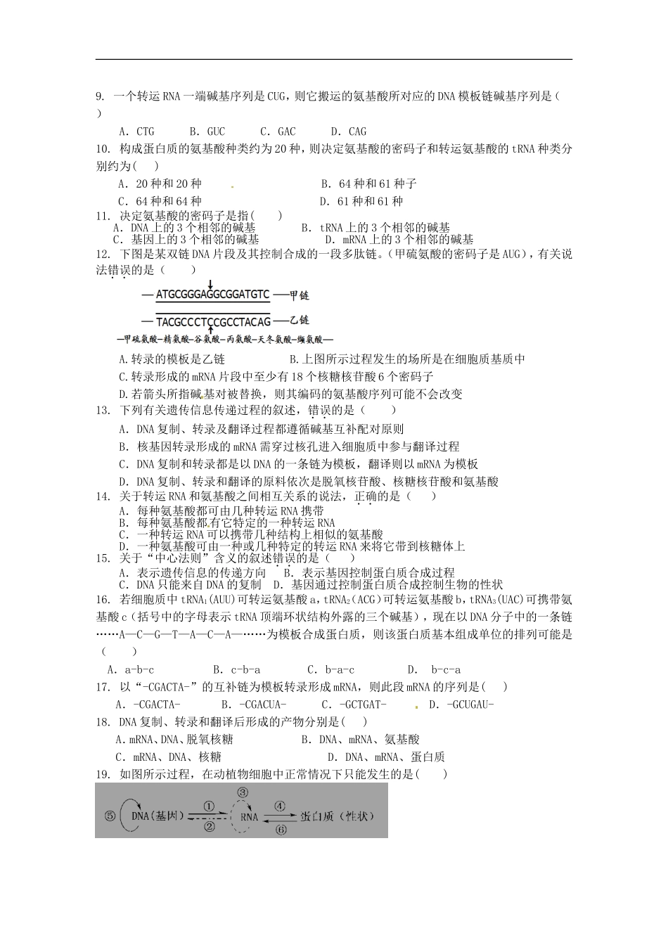 广宁一中2012届高三生物二轮复习-《基因的表达》单元测试_第2页