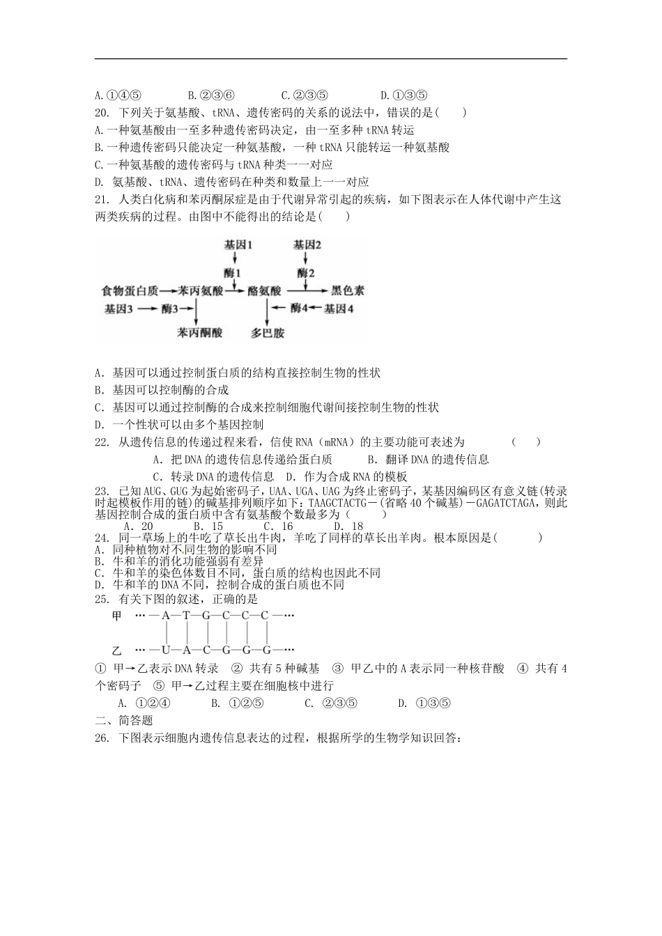 广宁一中2012届高三生物二轮复习-《基因的表达》单元测试_第3页