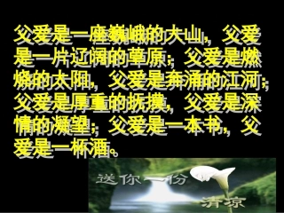 爸爸的花儿落了正式版