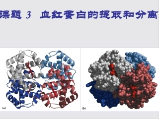 课题3-血红蛋白的提取和分离-(7)