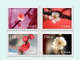 邮票的张数课件.ppt秋英
