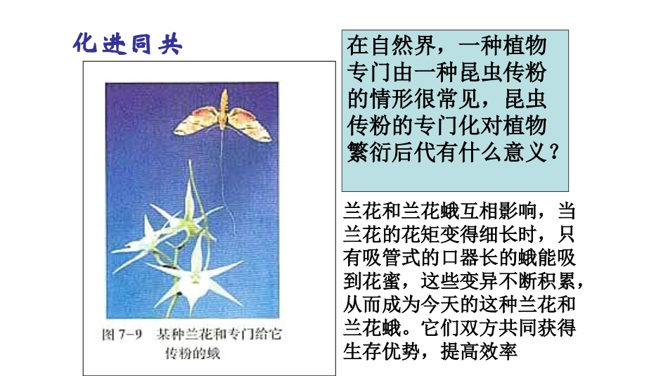 三-共同进化与生物多样性的形成-(3)_第2页
