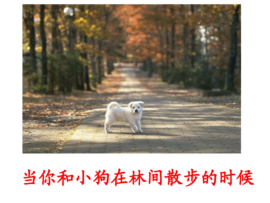 致同学们-(2)_第3页