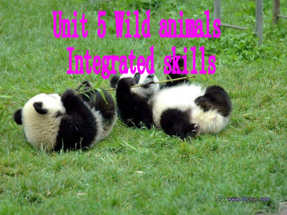 8AUnit5WildanimalsIntegratedskills_第1页
