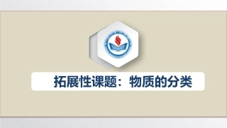 拓展性课题物质的分类