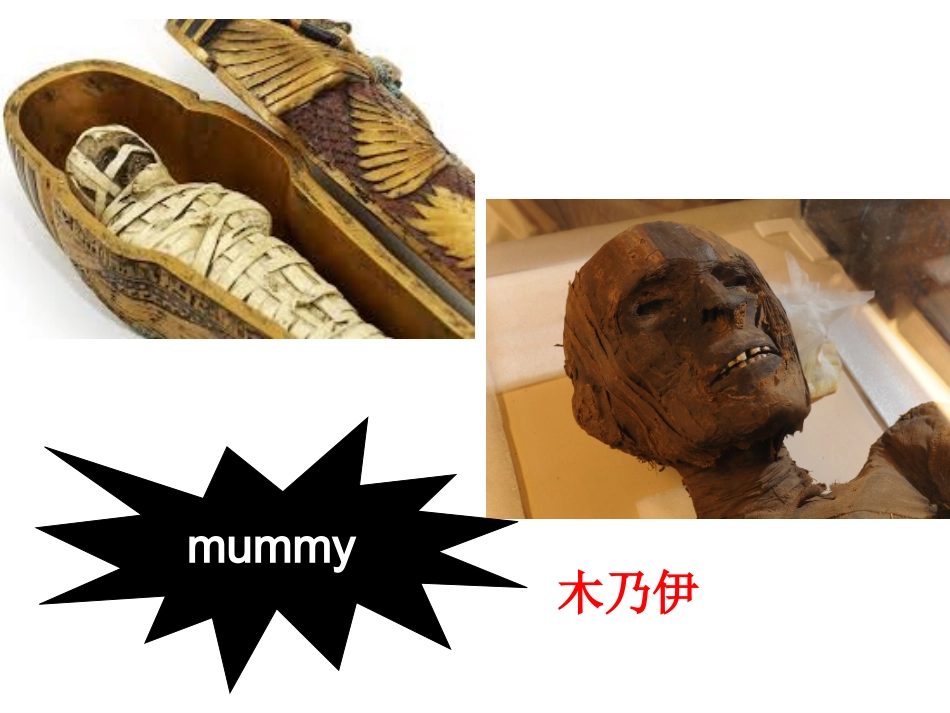Reading(3)：Thecurseofthemummy_第2页