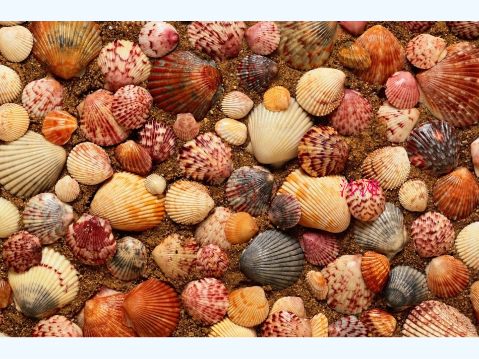 (部编)人教2011课标版一年级上册项链-(2)_第2页