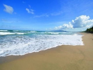 (部编)人教2011课标版一年级上册项链-(2)