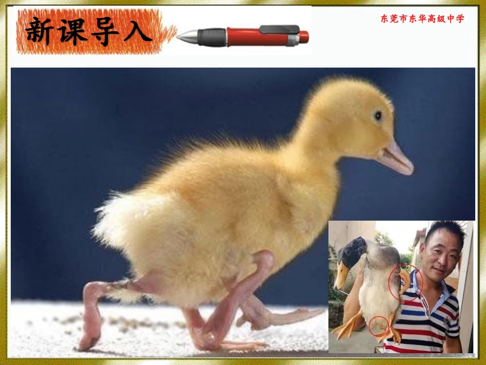 一染色体结构变异-(2)_第1页