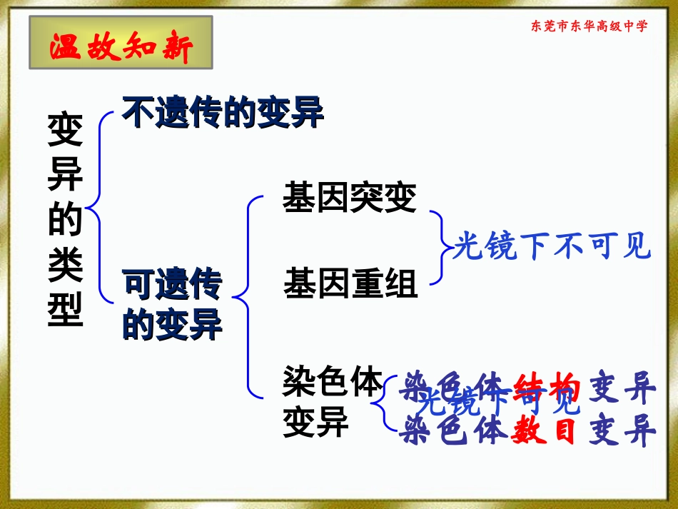 一染色体结构变异-(2)_第2页