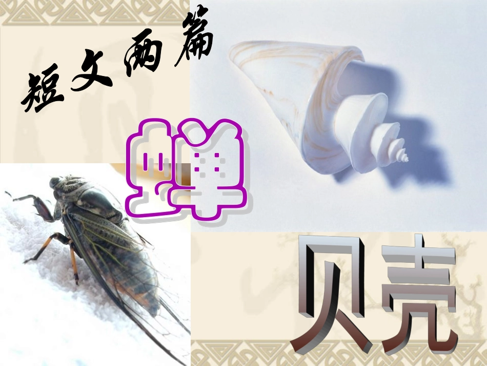 3短文两篇《蝉》《贝壳》_第1页