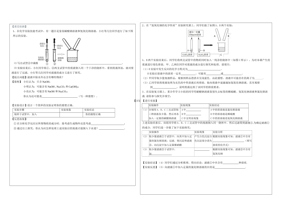到实验室去：探究酸和碱的化学性质-(2)_第2页
