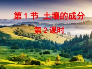 第1节土壤的成分