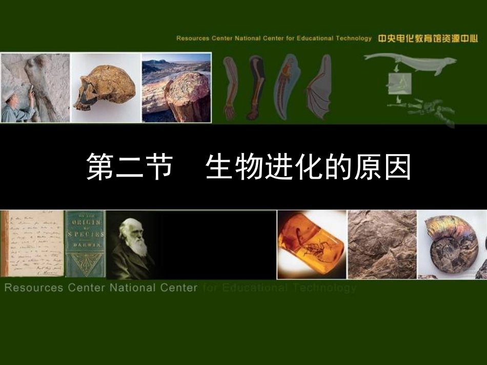 生物：第七单元第三章第三节生物进化的原因课件(人教版八年级下)_第1页