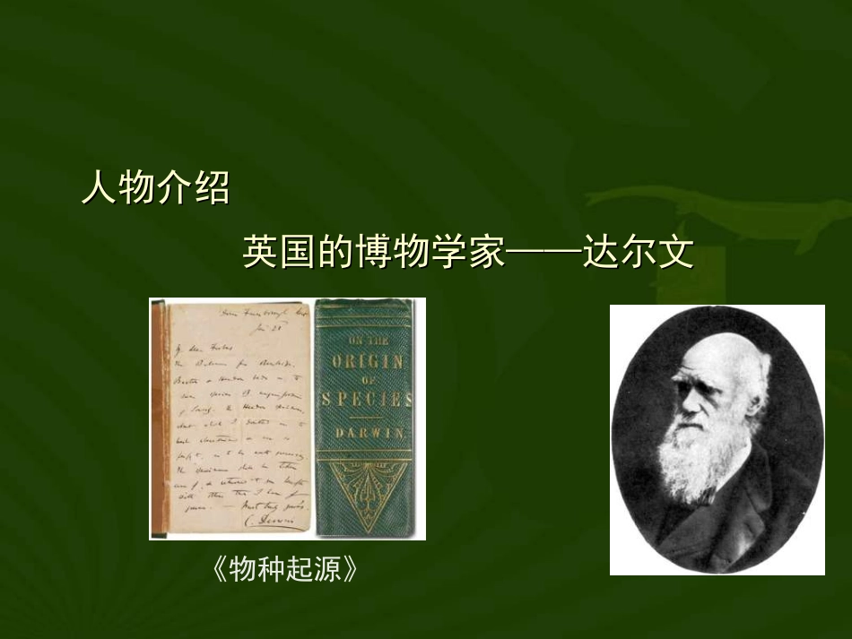 生物：第七单元第三章第三节生物进化的原因课件(人教版八年级下)_第2页