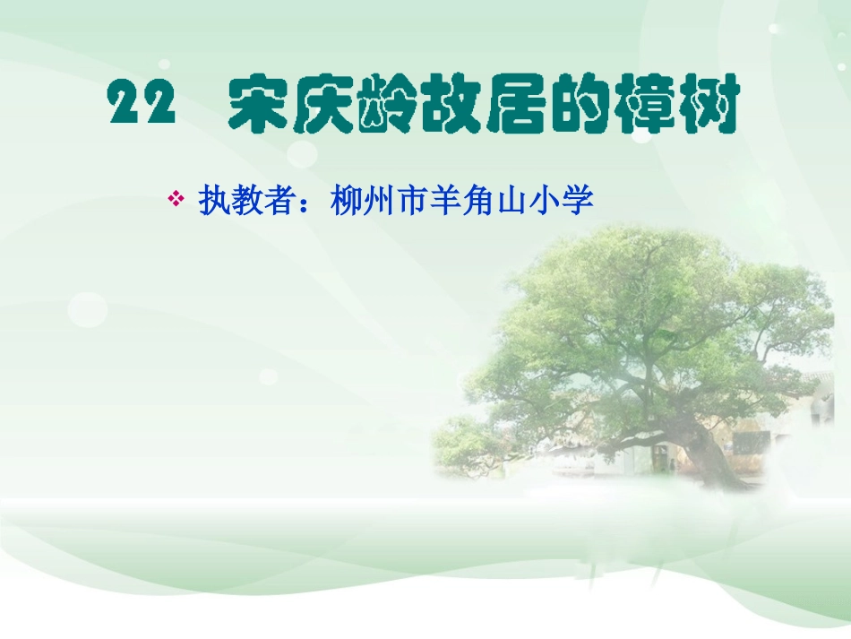 宋庆龄故居的樟树课件_第1页