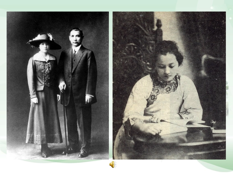 宋庆龄故居的樟树课件_第3页