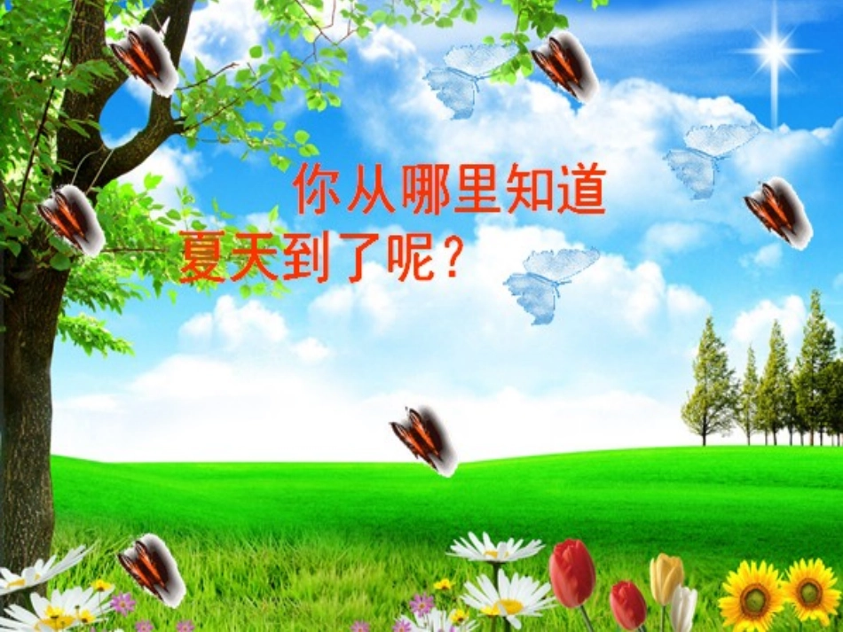 《12-知了叫-夏天到》课件_第3页