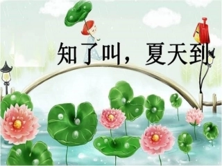 《12-知了叫-夏天到》课件