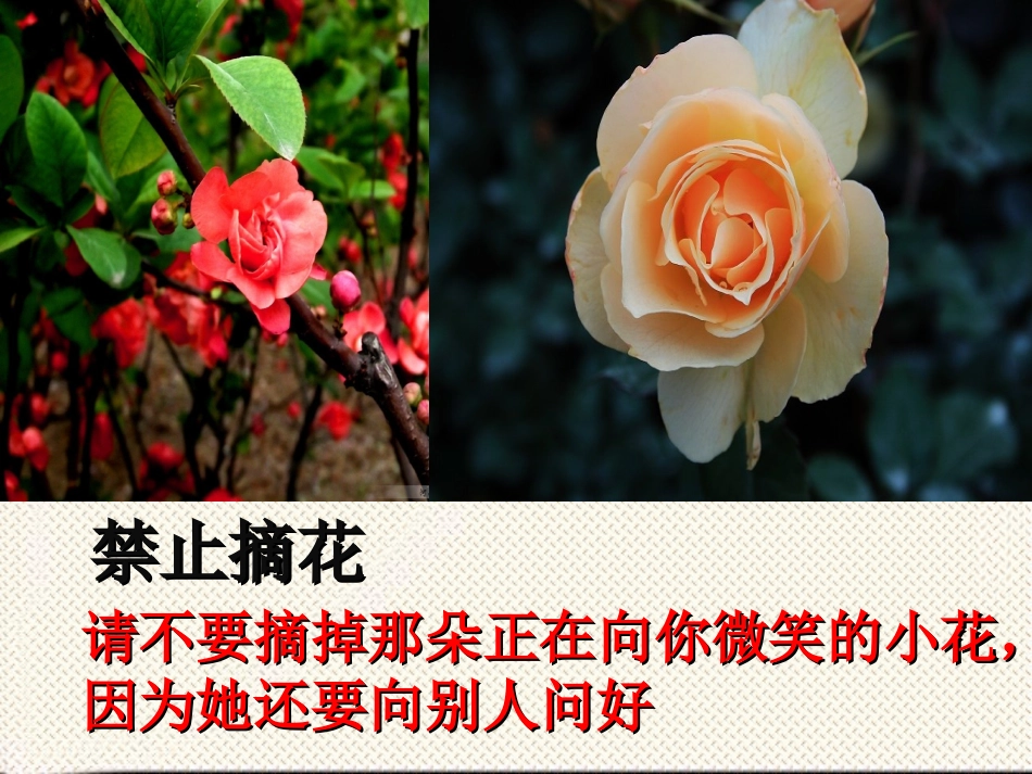 20.----邹忌讽齐王纳谏_第3页