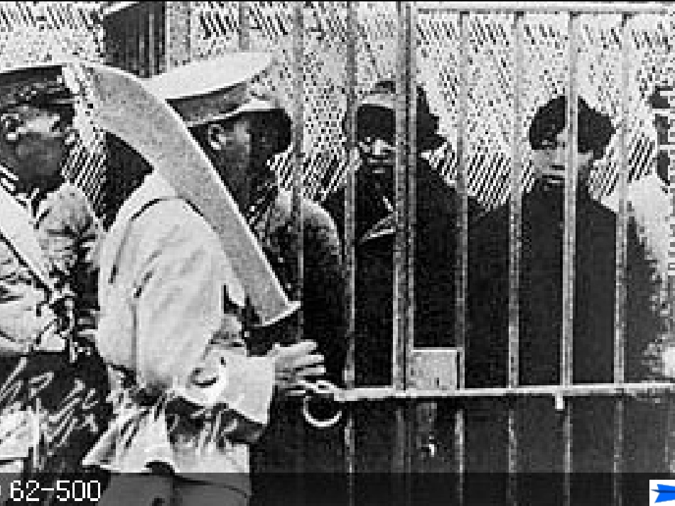 12星星之火可以燎原_第3页