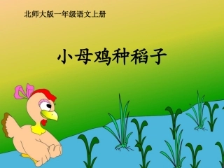 《小母鸡种稻子》课件