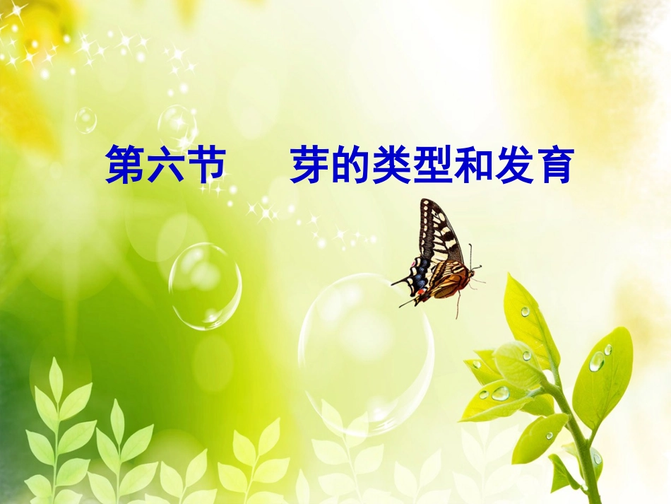 第六节芽的类型和发育_第2页