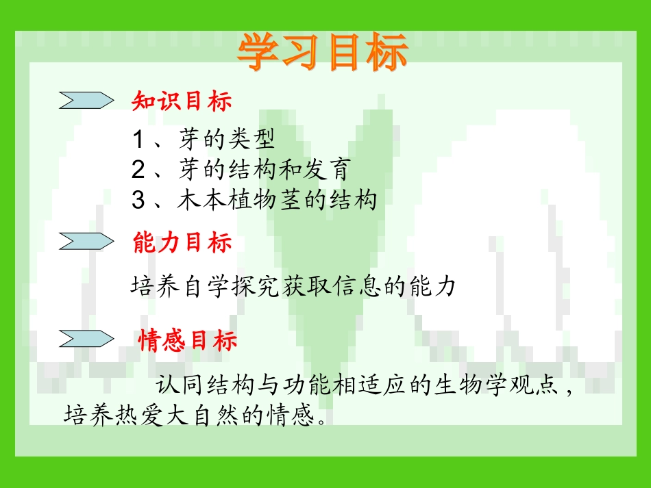 第六节芽的类型和发育_第3页