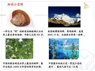 分数的初步认识