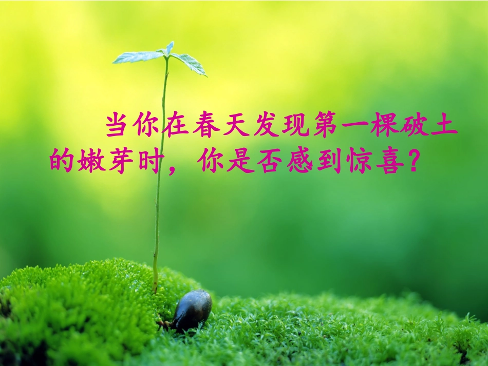 《囚绿记》课件_第1页