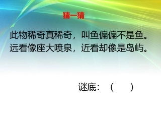 会上树的鱼2