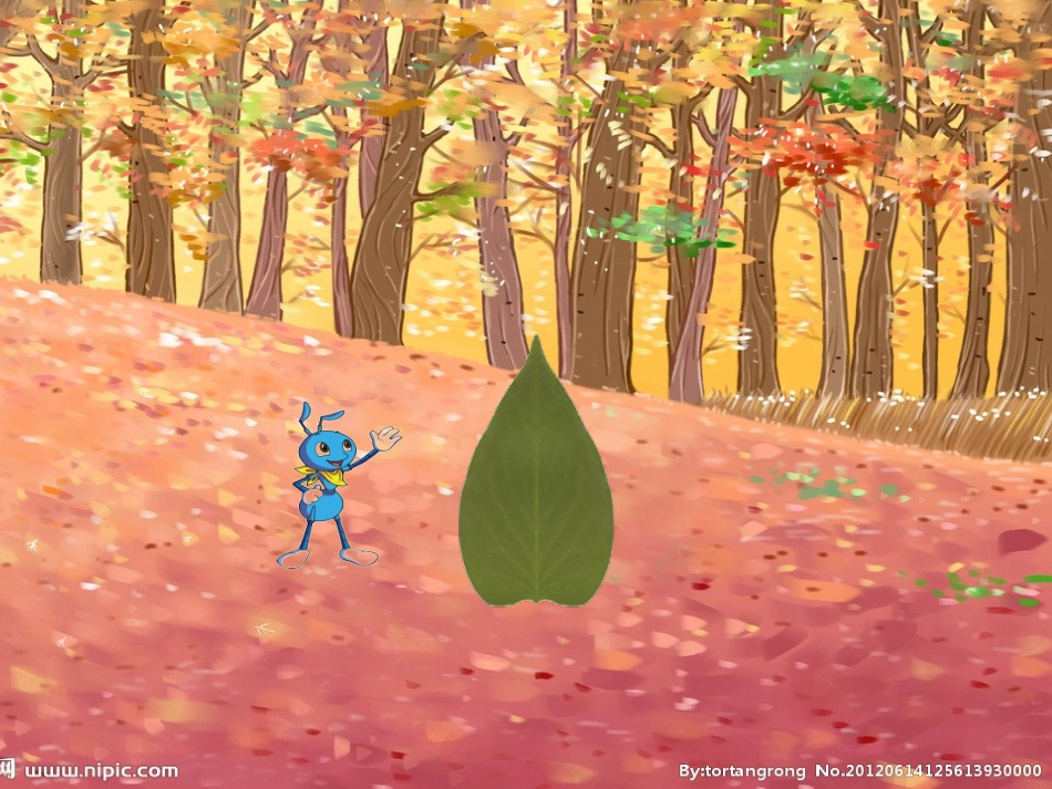 小学数学北师大2011课标版三年级什么是周长课件-(2)_第2页