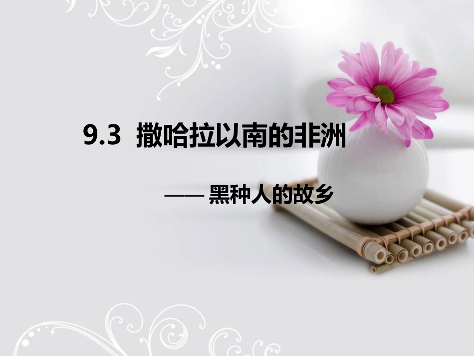 9.3撒哈拉以南非洲──黑种人的故乡_第2页