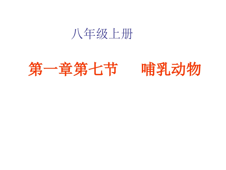 6、哺乳动物_第1页