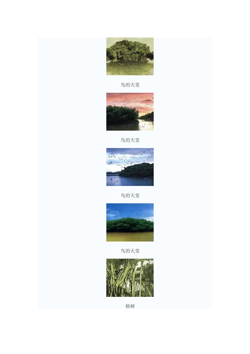 鸟的天堂教学图片2_第1页