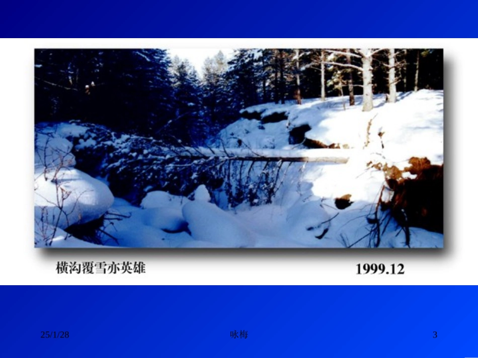 卜算子--咏梅_第3页