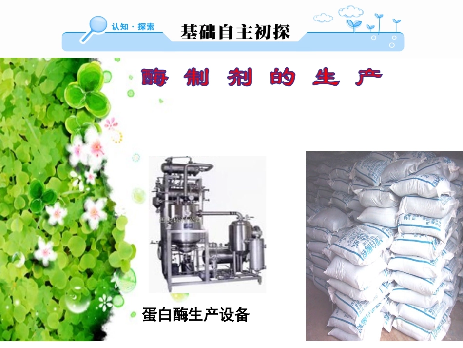 第2节-酶在工业生产中的应用_第3页