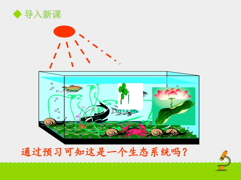 第四节-生态系统_第3页