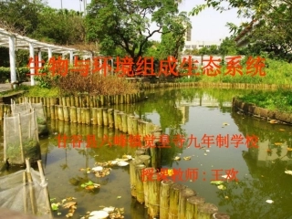 第四节-生态系统