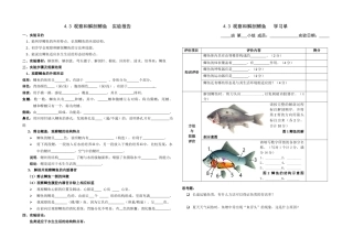 观察和解剖鲫鱼(实验)